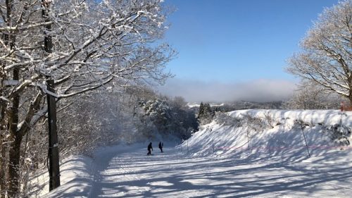 冬はビタミンD不足に注意! 冬はビタミンD不足に注意!