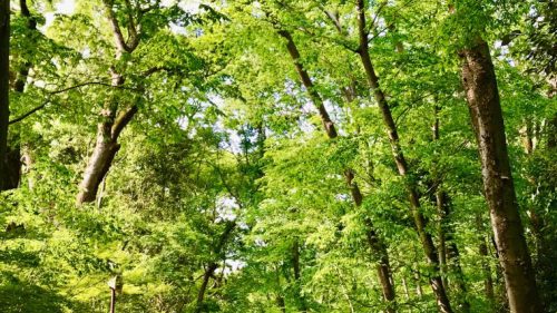 ５月病