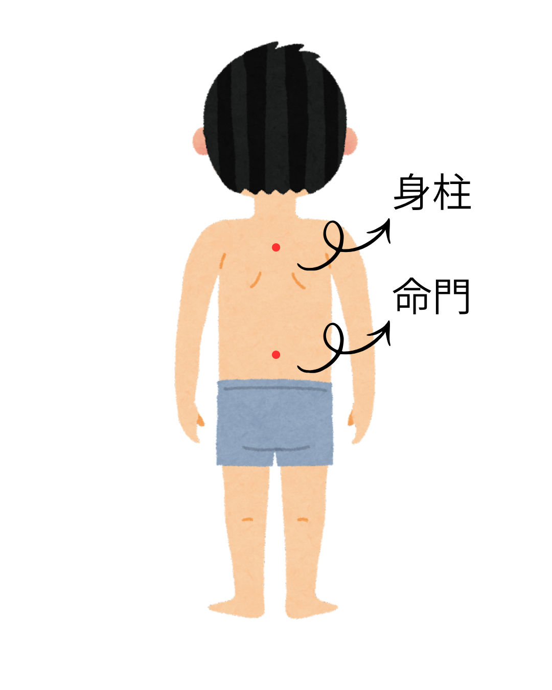 こどもにおすすめのツボ！身柱・命門 | はな鍼灸整骨院