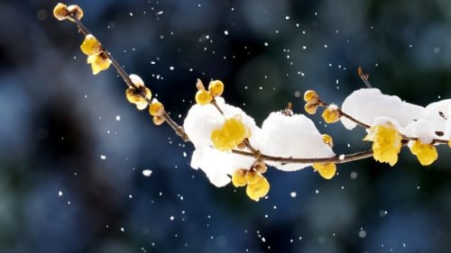 春に増えるめまい