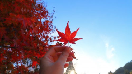 「なんだか体がだるい・・・」、その原因、秋の激しい寒暖差かも！