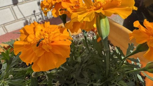 ５月に不調を感じやすいのはなぜ？