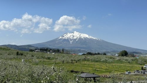 季節の変わり目